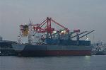 Dcim0678/DSC_3916