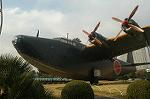 Dcim0681/DSC_4325