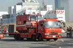 Dcim0683/DSC_4617