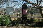 Dcim0689/DSC_5424