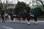 Dcim0707/DSC_7422