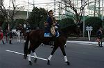 Dcim0707/DSC_7423