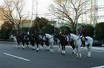 Dcim0708/DSC_7536