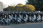 Dcim0708/DSC_7585