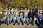 Dcim0708/DSC_7637