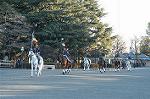 Dcim0709/DSC_7699