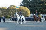 Dcim0709/DSC_7702