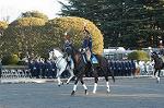 Dcim0709/DSC_7707