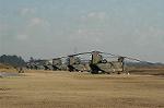 Dcim0716/DSC_8624
