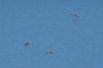 Dcim0716/DSC_8698