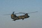 Dcim0717/DSC_8726