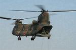 Dcim0717/DSC_8737