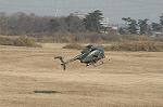 Dcim0717/DSC_8766