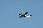 Dcim0718/DSC_8878