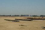 Dcim0719/DSC_8969