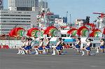 Dcim0721/DSC_9184