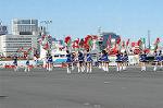 Dcim0721/DSC_9212