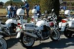 Dcim0725/DSC_9546