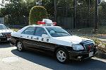 Dcim0725/DSC_9551