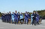 Dcim0726/DSC_9692