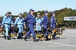 Dcim0726/DSC_9693