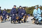 Dcim0726/DSC_9694