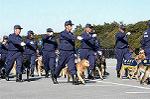 Dcim0726/DSC_9695