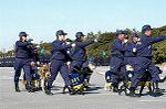 Dcim0726/DSC_9696