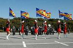 Dcim0728/DSC_9920