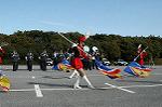 Dcim0728/DSC_9951