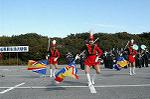 Dcim0728/DSC_9956