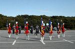 Dcim0728/DSC_9966