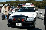 Dcim0728/DSC_9981