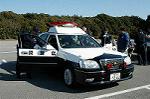 Dcim0728/DSC_9983