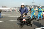 Dcim0731/DSC_0283
