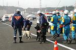 Dcim0731/DSC_0285