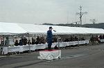 Dcim0733/DSC_0584