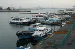 Dcim0747/DSC_2014