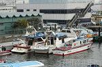 Dcim0747/DSC_2123