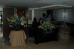 Dcim0749/DSC_2382