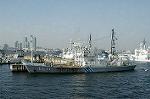 Dcim0750/DSC_2540