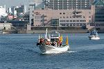 Dcim0754/DSC_3098