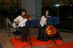 Dcim0756/DSC_3348