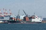 Dcim0766/DSC_4667