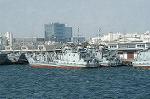 Dcim0767/DSC_4752