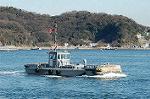 Dcim0768/DSC_4950