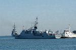 Dcim0769/DSC_4993