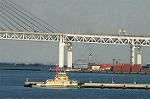 Dcim0772/DSC_5441