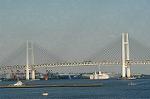 Dcim0772/DSC_5447