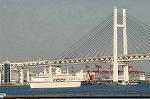Dcim0772/DSC_5458